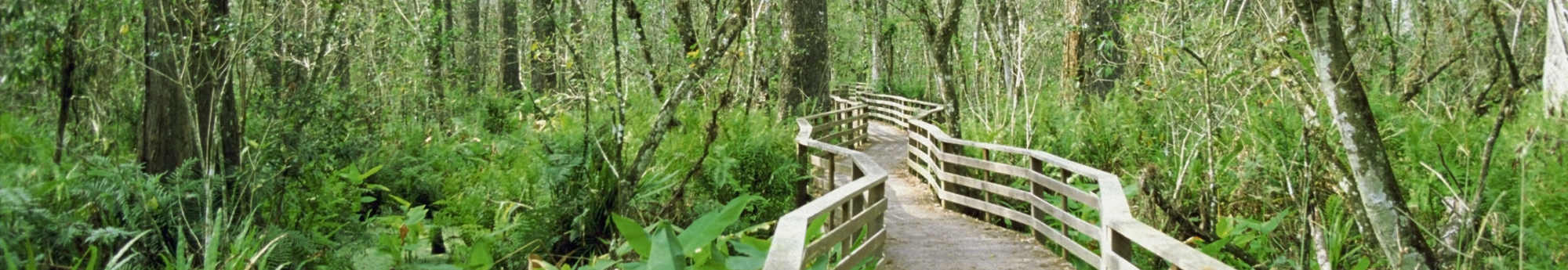 Resources banner